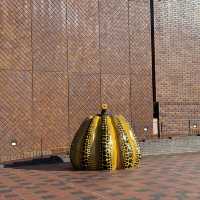 A Perfect Day in Fukuoka: Art, Gardens, Castle Views & Ramen Hits 