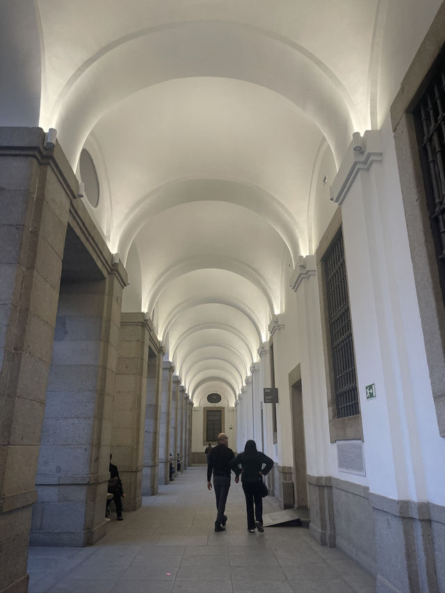 Where Art Gets Political: The Museum That Hits Different