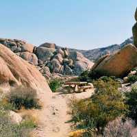 🌵 Top Landmarks in Joshua Tree National Park 🏜️✨