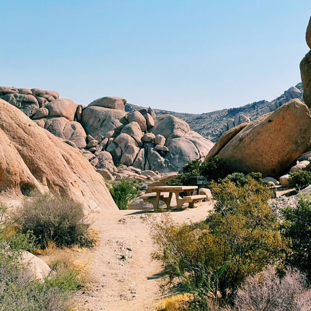 🌵 Top Landmarks in Joshua Tree National Park 🏜️✨