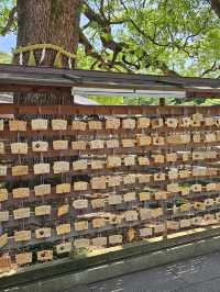 Meiji Jingu: Serenity in the Heart of Tokyo