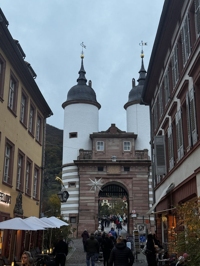 Beauty of Heidelberg City 🌆