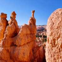 🎢 Bryce Canyon Transportation Tips: How to Ride, Park & Explore Hoodoo Country Like a Pro 🏞️🚌