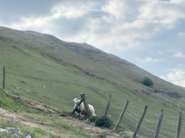 🏞️☀️ The Peak District: Your Dream Summer Escape (Without the Price Tag!)