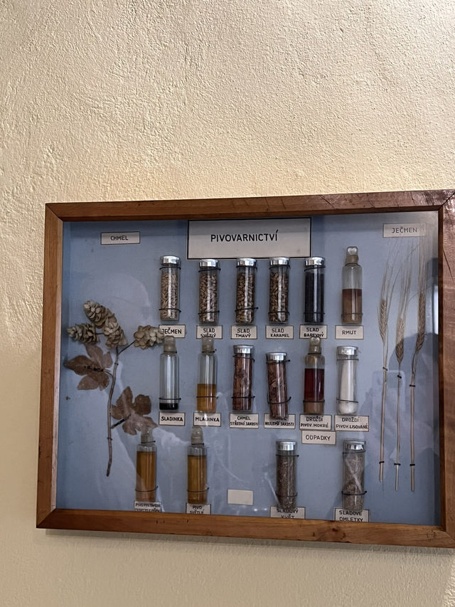 🇨🇿 捷克皮爾森啤酒博物館（Pivovarského muzea） 🍺