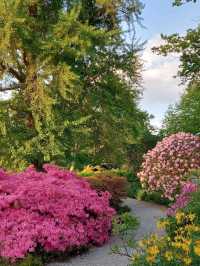 🌳 Hanover: Where Royal Gardens Meet Modern Rhythm 