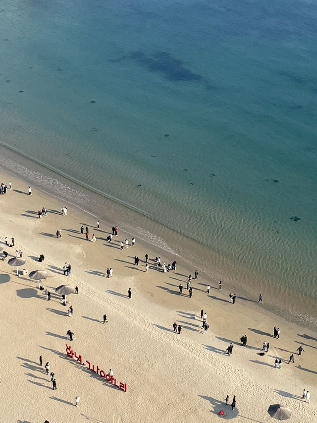 🌴 제주와 부산, 바다 위에 펼쳐진 감성의 결 🌆