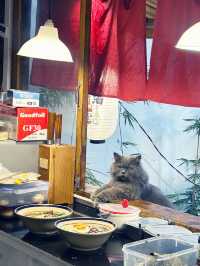 Piece of Japan in Vietnam 🇻🇳 Still cafe