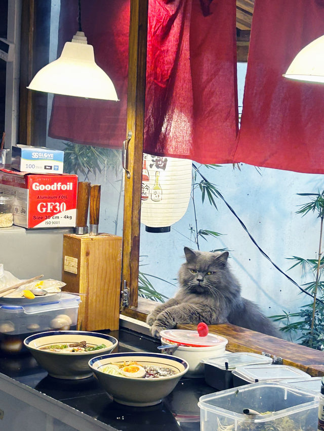 Piece of Japan in Vietnam 🇻🇳 Still cafe