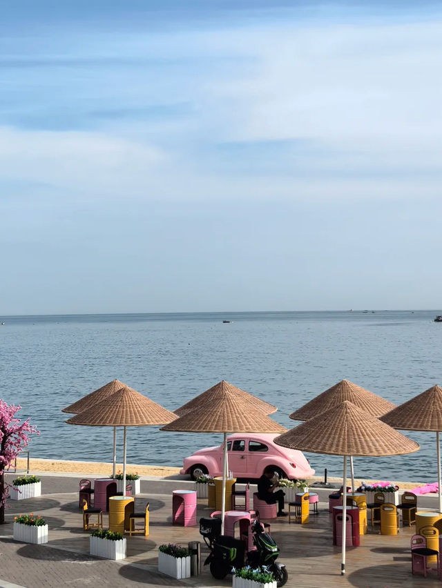 Golden Shores and Sculpted Cliffs: A Day in Dalian’s Jinshitan