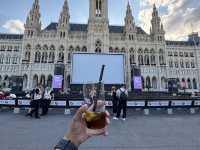 Amazing Vienna !!