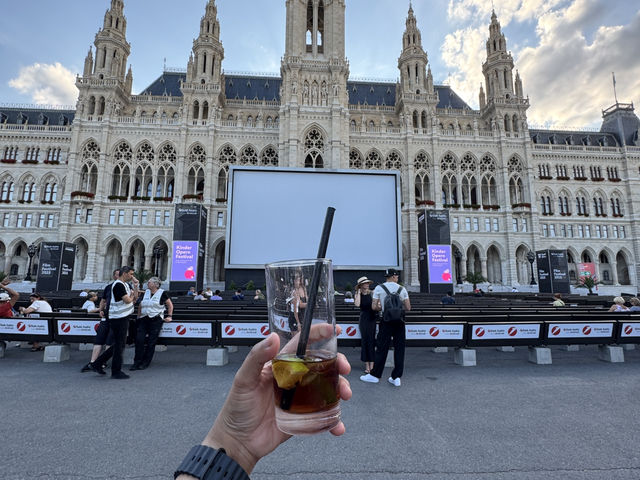 Amazing Vienna !!