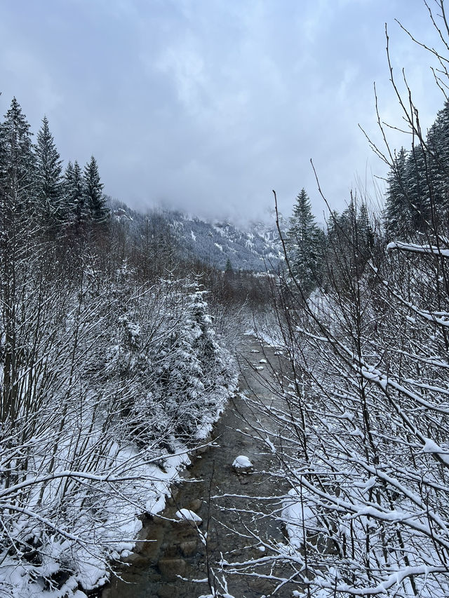 ❄️🏔️ Winter at Haldensee, Tirol – Where the Alps Whisper in Snow 🏔️❄️