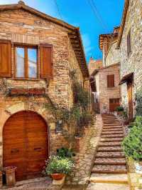  Whispers Among the Olive Trees – Collepino, Italy