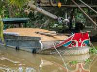 Exploring the Mekong Delta: A Peaceful Day in Cai Be Village