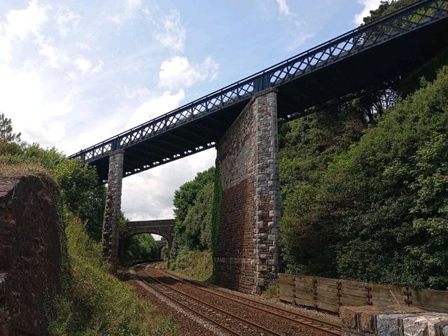 Highlights of my recent visit to Dawlish 