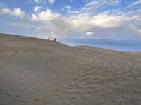🏜️ 大自然の奇跡:マスパロマス砂丘(Dunas de Maspalomas🌅