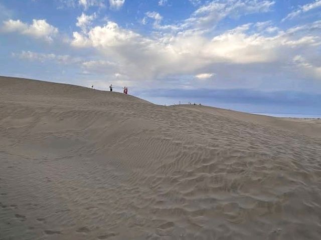 🏜️ 大自然の奇跡:マスパロマス砂丘(Dunas de Maspalomas🌅 🏜️ 大自然の奇跡:マスパロマス砂丘(Dunas de Maspalomas🌅