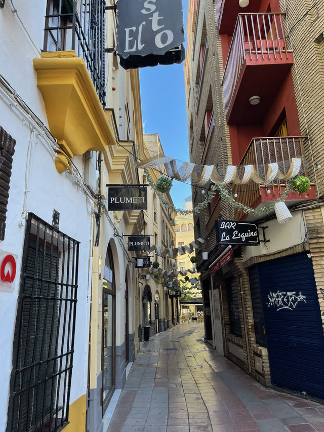 The Beauty of Córdoba: History, Streets & Sunlight 🏛️🌸✨