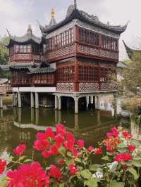 Shanghai 8 Days Itinerary