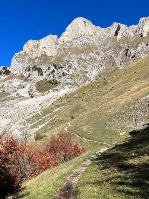 How to Conquer Rosni Peak (Without Crying… Too Much)” 