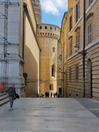 Sunny Autumn Days🌞