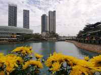 Shekou Sea World 🌟