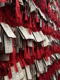 Пара дней в Сиане или как я влюбился в этот город-жемчужину