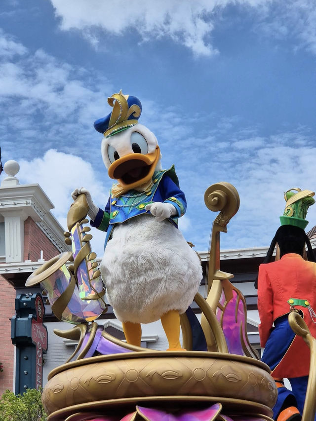 ✨ Theming, Detail, and Imagination Everywhere 🏰🎇