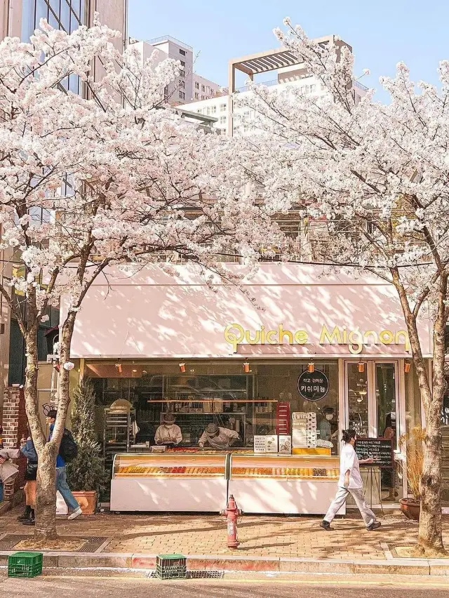 🇰🇷✈️🩷 Seoul’s alleys hide the city’s soul in every corner. ✨