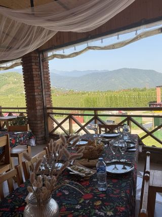 🍷 A peaceful wine stop in Kakheti 🇬🇪