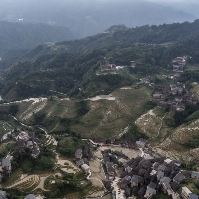 The Stunning Rice Fields!