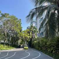 Shenzhen bay Shekou, Miami 😎