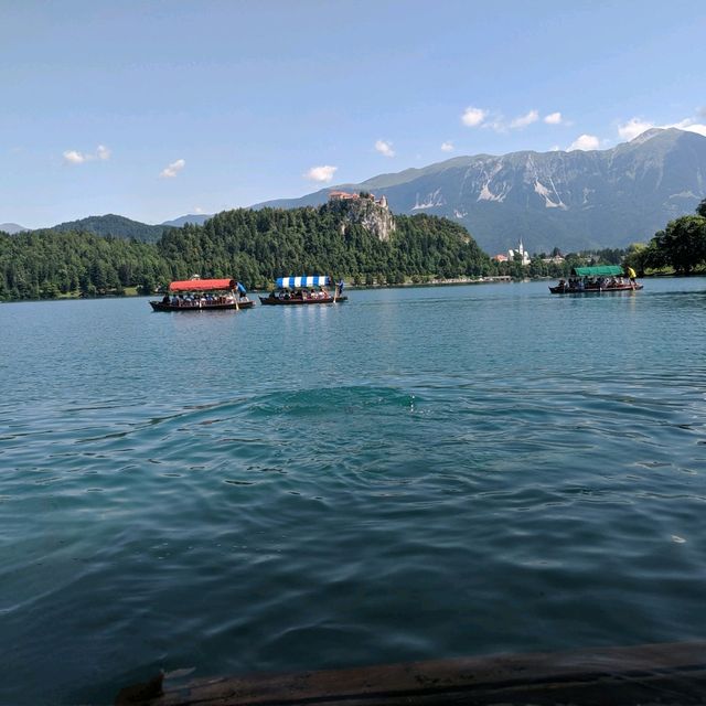 Bled the blue lake gem