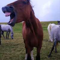 Breathtaking beauty at The Cliffs of Moher 