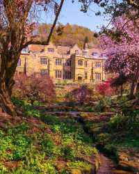 Colorful spring 🍀 - Yorkshire