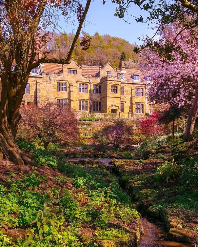 Colorful spring 🍀 - Yorkshire