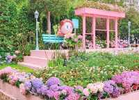 Hong Kong Flower Appreciation | Nanchang's Pink Check-in Bus Stop Surprises