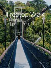 Must-read before visiting Treetop Walk