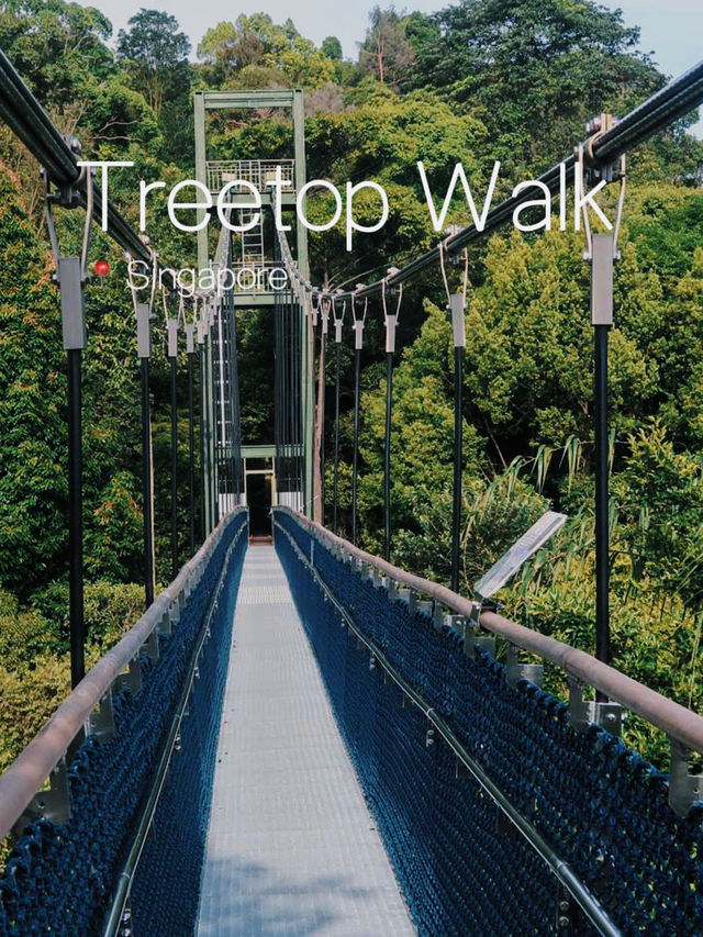 Must-read before visiting Treetop Walk