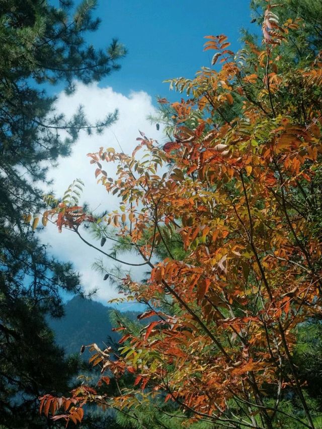 Autumn-Hike Trough In Old Tibetan Village