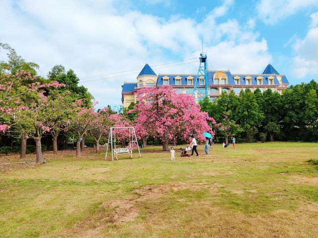 百萬葵園的秋櫻節