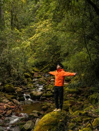 Luoguqing Villa, a homestay with exclusive hiking routes