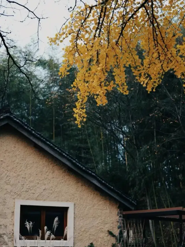 LiYang | A winter, a hot spring