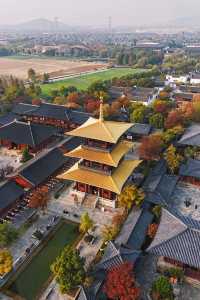 不是日本,真的真的是上海!!