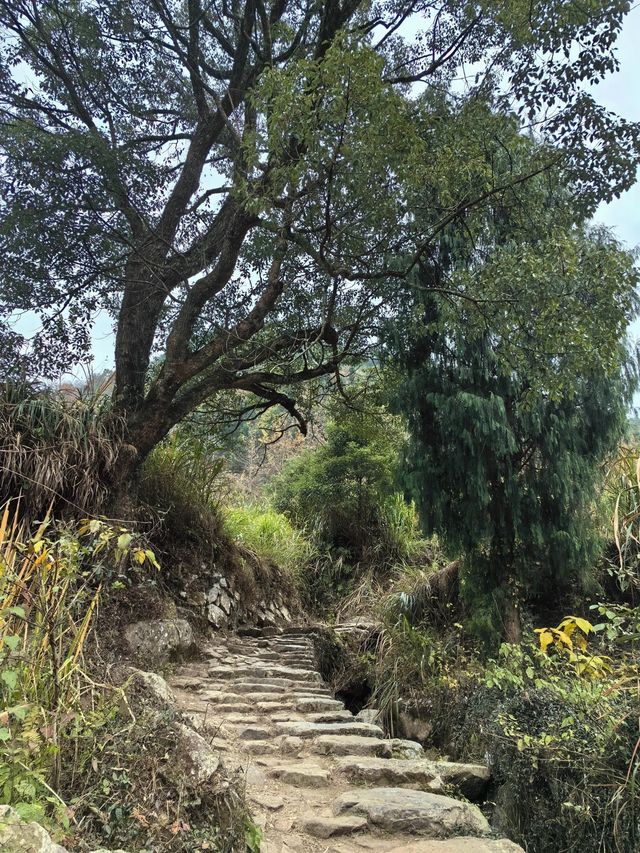 南黄古道／北有香山紅葉，南有南黃楓葉，太美太震撼了！