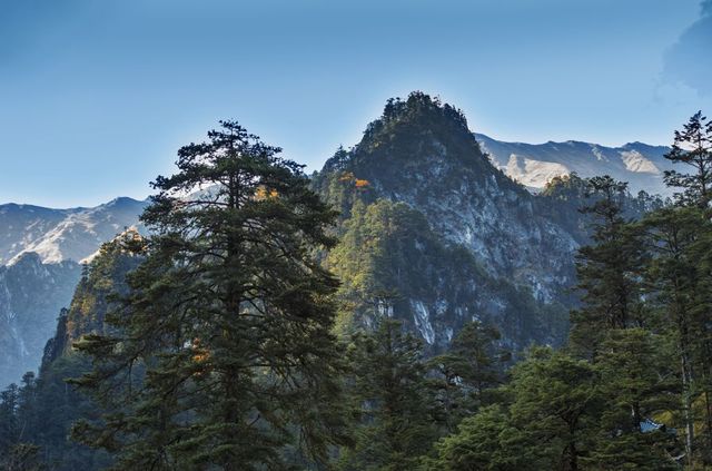 芦山的大深山裡的彩林秘境：大川河