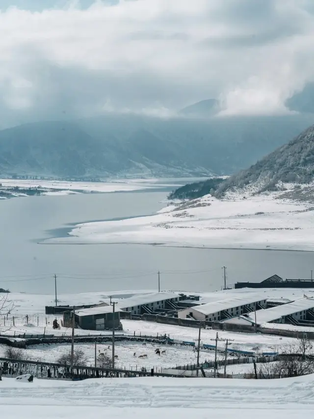 大雪覆蓋的冶勒湖｜來了就彷彿置身北海道