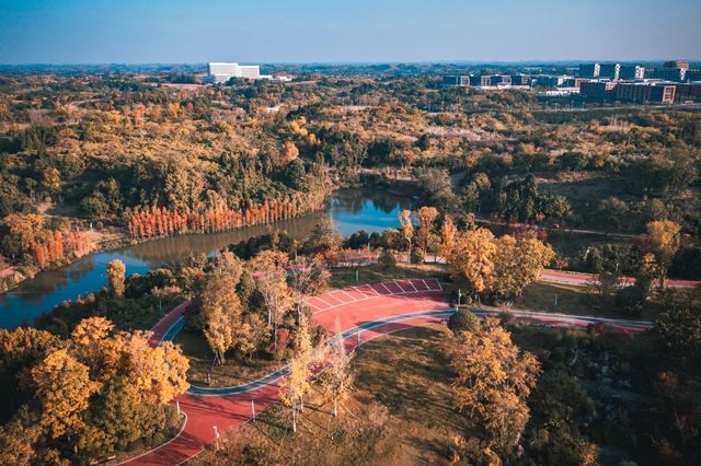 金堂冬日美景，藏在這個寶藏公園裡