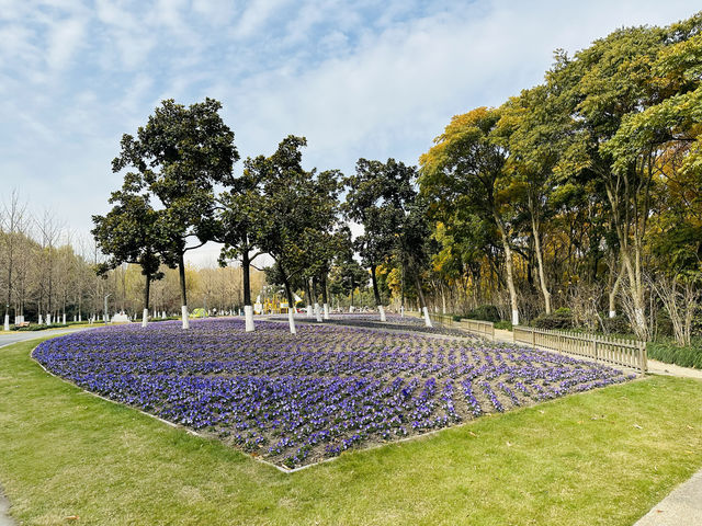 閔行體育公園—冬遊正當時